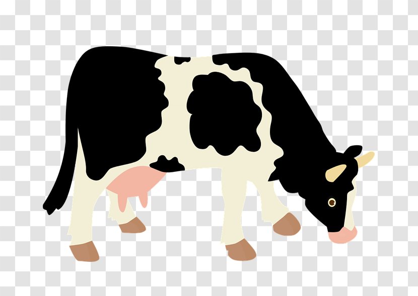 Angus Cattle Charolais Holstein Friesian Ox Dairy - Pig Transparent PNG