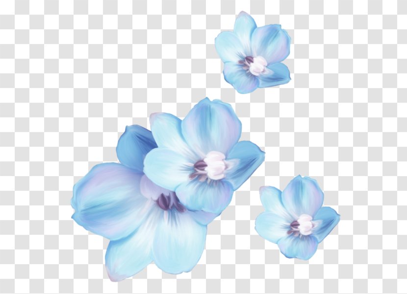 Mallows Cut Flowers Petal - Family Transparent PNG