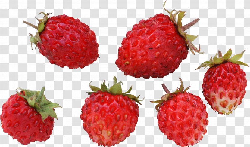 Musk Strawberry Wild - Food - Blueberries Transparent PNG