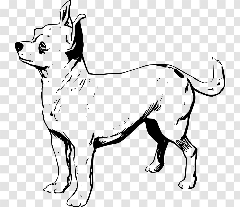 Chihuahua Puppy Line Art Drawing Clip - Artwork Transparent PNG