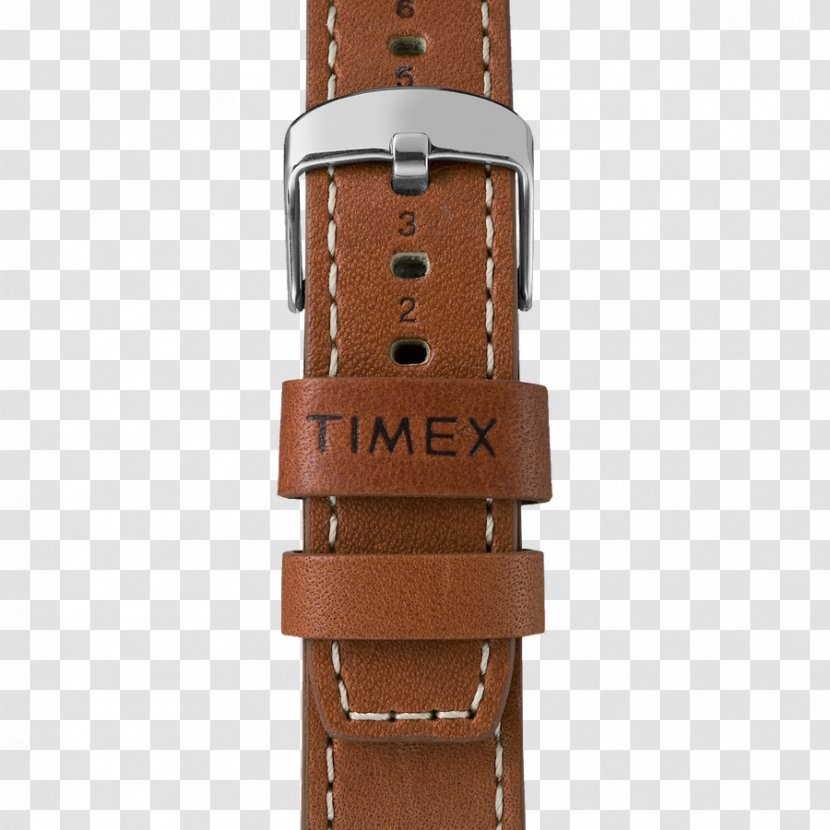 Watch Strap Timex Group USA, Inc. The Waterbury Chronograph - Complication Transparent PNG
