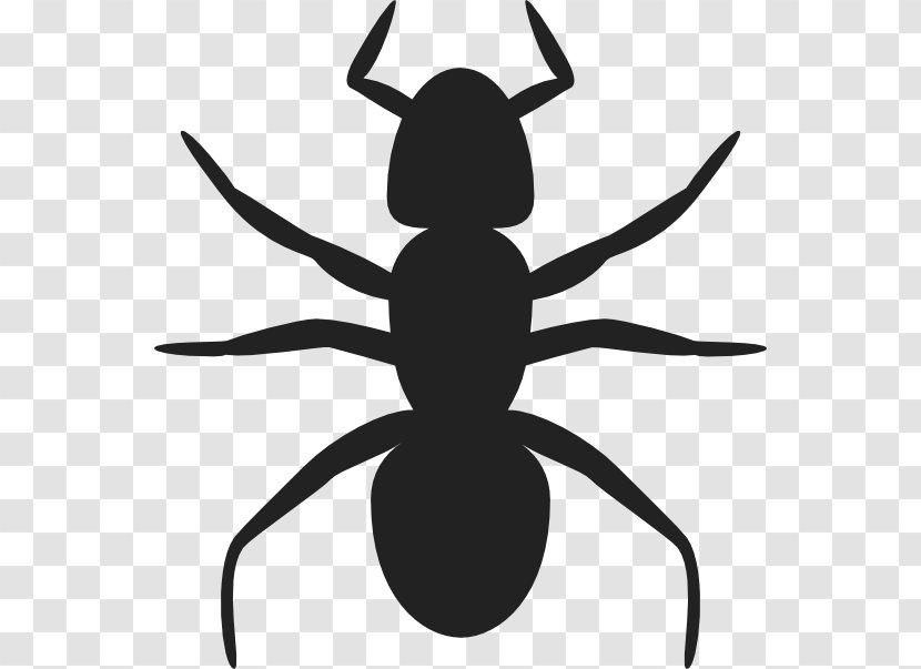 Ant Clip Art - Arthropod Transparent PNG