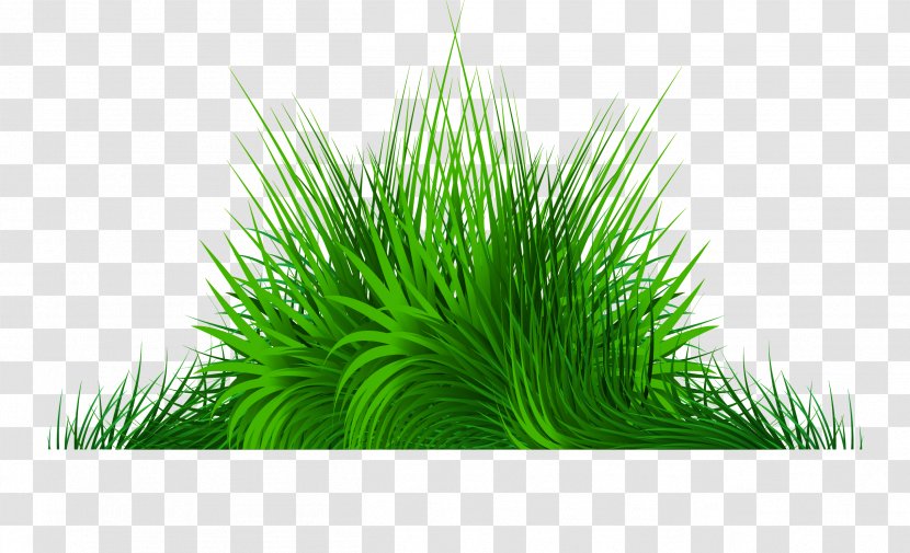 Vector Hand Painted Green Grass - Gis - Color Transparent PNG