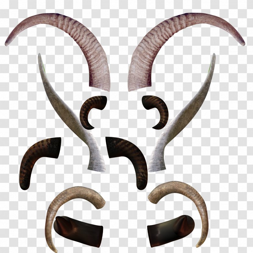 Goat Horn Ox - Upload - Angle Of Various Animals Transparent PNG