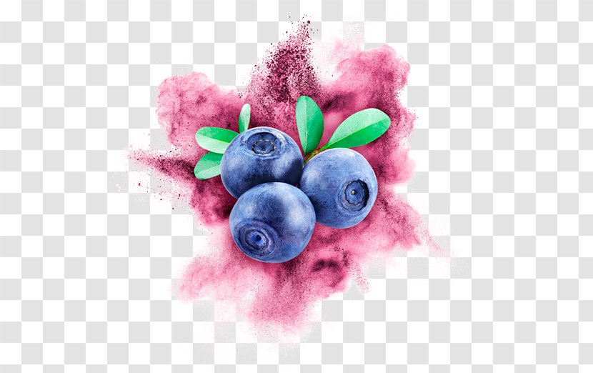 United States Bilberry Cry Baby Photography Desktop Wallpaper - Fruit - Wild Berry Transparent PNG