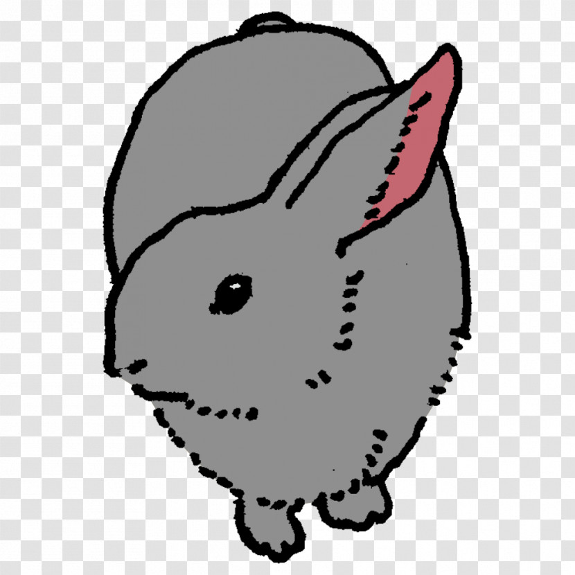 Whiskers Hare Cat Dog Snout Transparent PNG