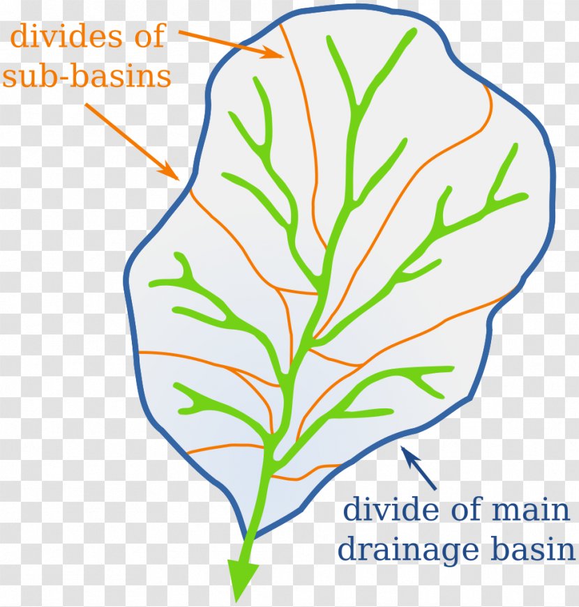 Drainage Divide Basin Water - Tree Transparent PNG