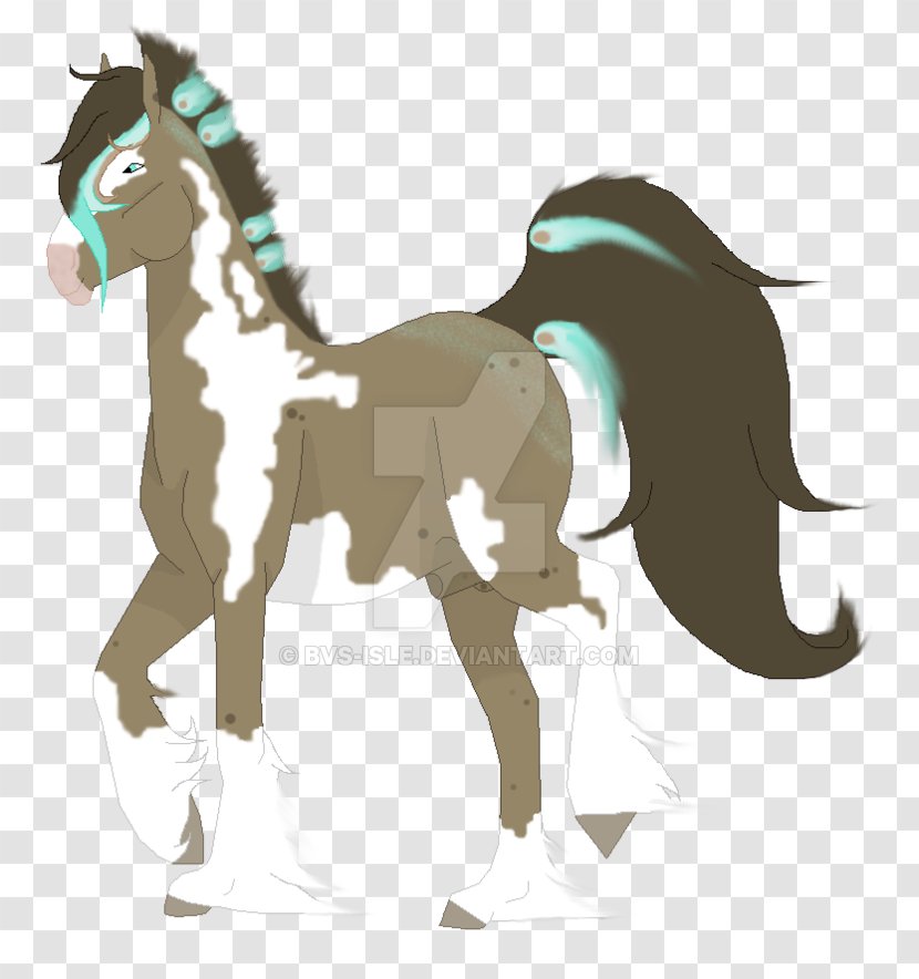 Pony Foal Mustang Stallion Colt - Horse Tack Transparent PNG