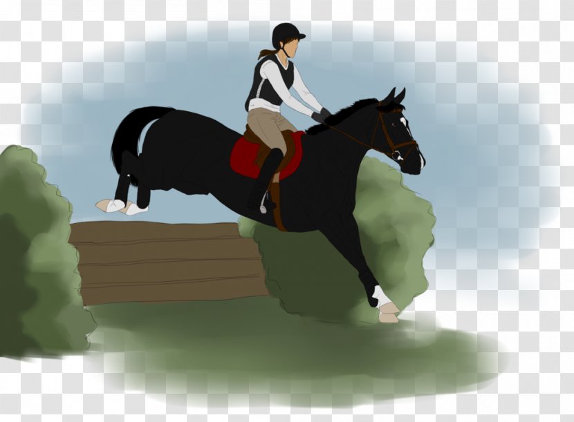 Show Jumping Stallion Hunt Seat Eventing Rein - Mustang Horse Transparent PNG