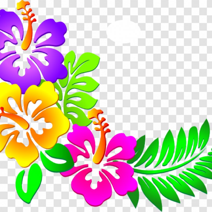 Cuisine Of Hawaii Clip Art Rosemallows Image - Cut Flowers - Flower Transparent PNG
