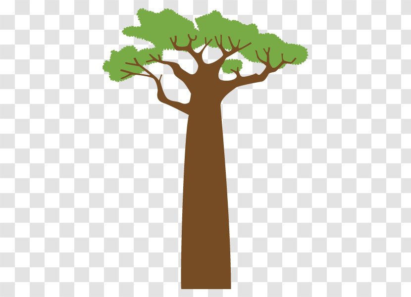 Baobab Illustration Plants Image Tree - Africa - World Transparent PNG