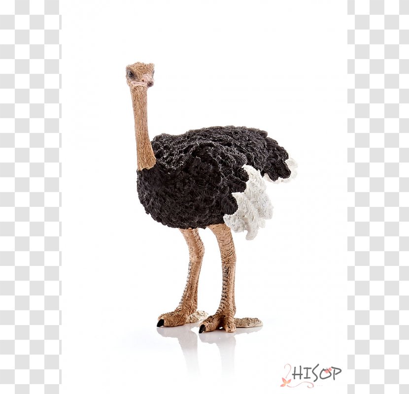 Common Ostrich Toy Schleich Emu Barbie Transparent PNG