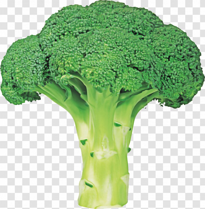 Vegetables Cartoon - Broccoli Slaw - Flower Broccoflower Transparent PNG