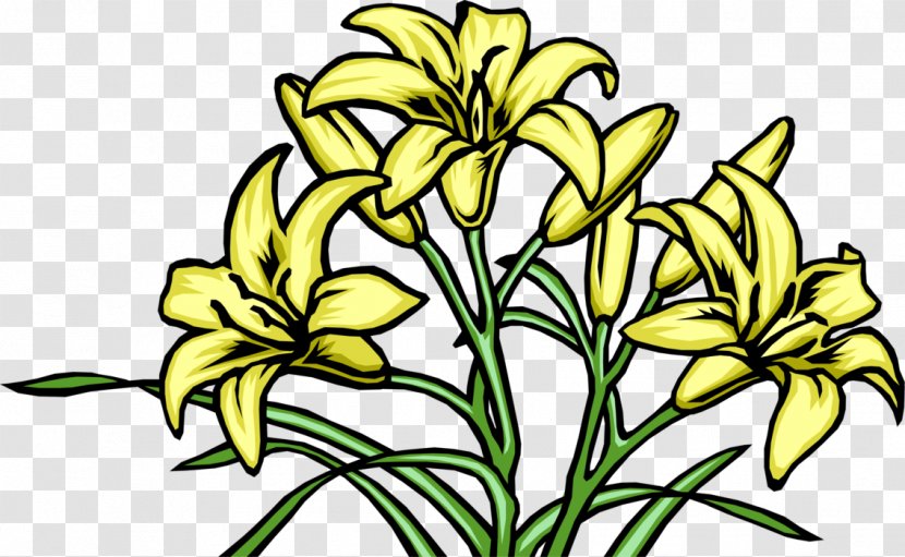 Vector Graphics Floral Design Flower Lily - Daylily Transparent PNG