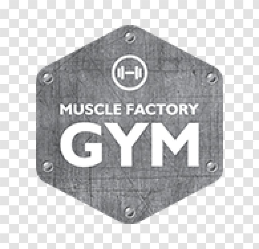 Muscle Factory Gym Fitness Centre Bodybuilding Weight Training Physical Transparent PNG