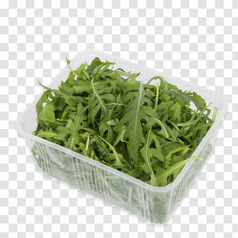 Lettuce Spring Greens Herb - Vegetarian Food Transparent PNG