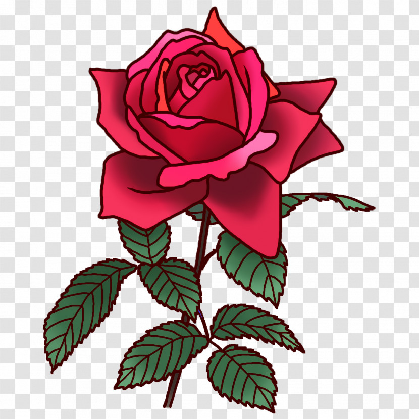 Garden Roses Transparent PNG