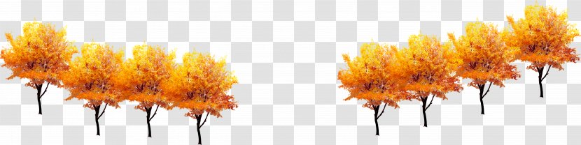 Tree Computer File - Branch - Autumn Golden Decoration Transparent PNG