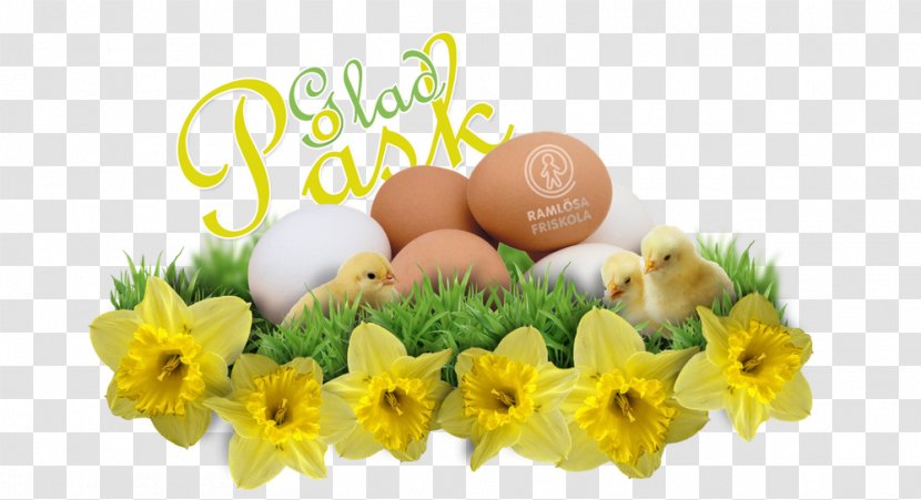 Floral Design Cut Flowers Easter Food Transparent PNG