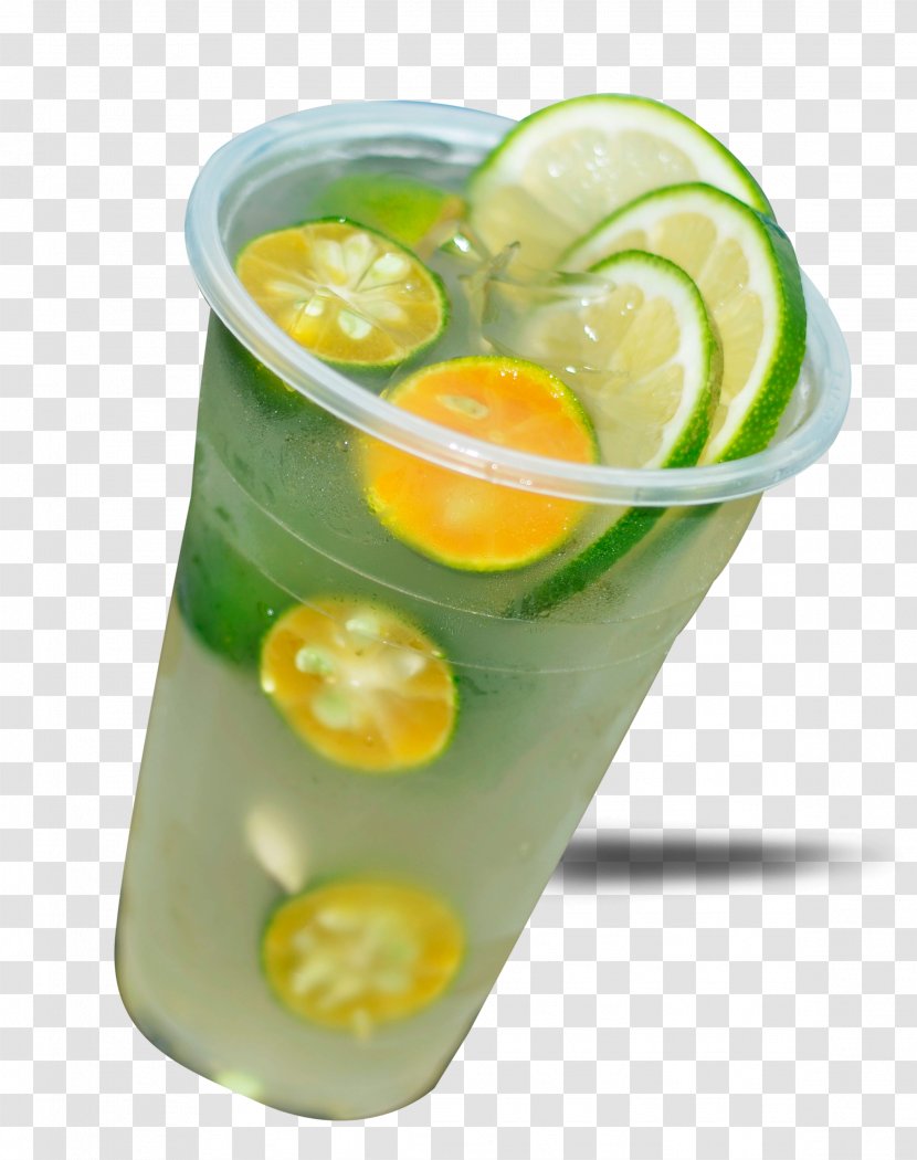 Juice Limeade Limonana Lemon - Template - Green Kumquat Transparent PNG