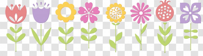 Summer Flower Background - Petal Herbaceous Plant Transparent PNG