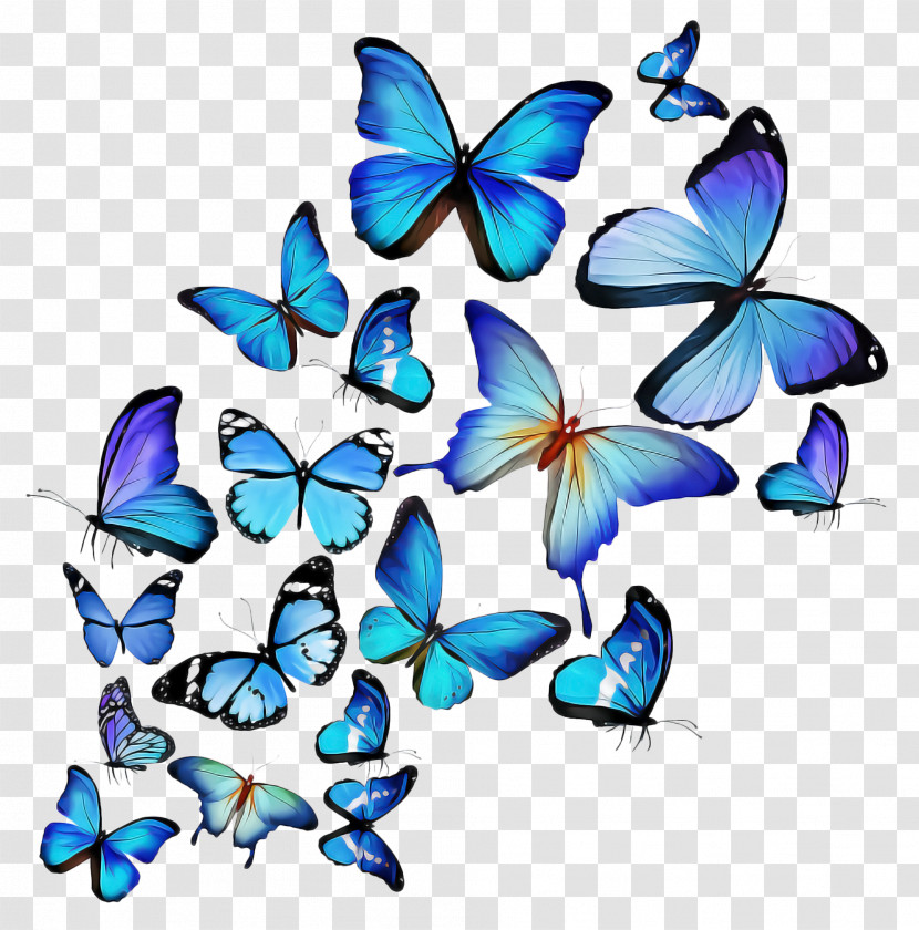 Butterfly Moths And Butterflies Insect Pollinator Transparent PNG