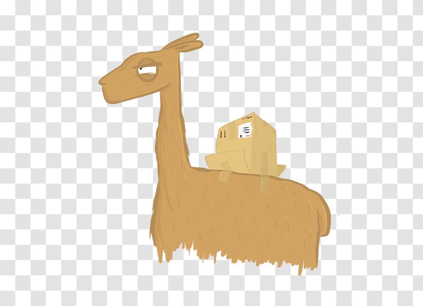 Giraffe Camel - Beige Transparent PNG