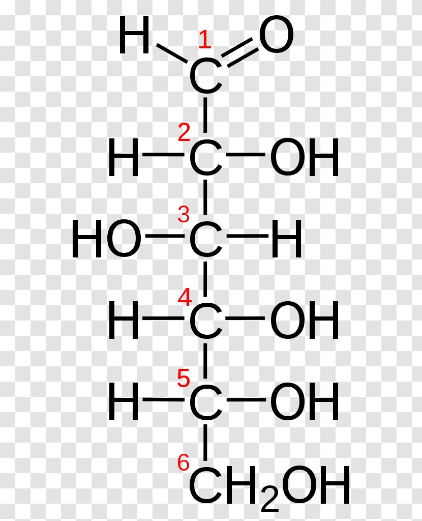 Fischer Projection Glucose Aldose Haworth Galactose Transparent PNG