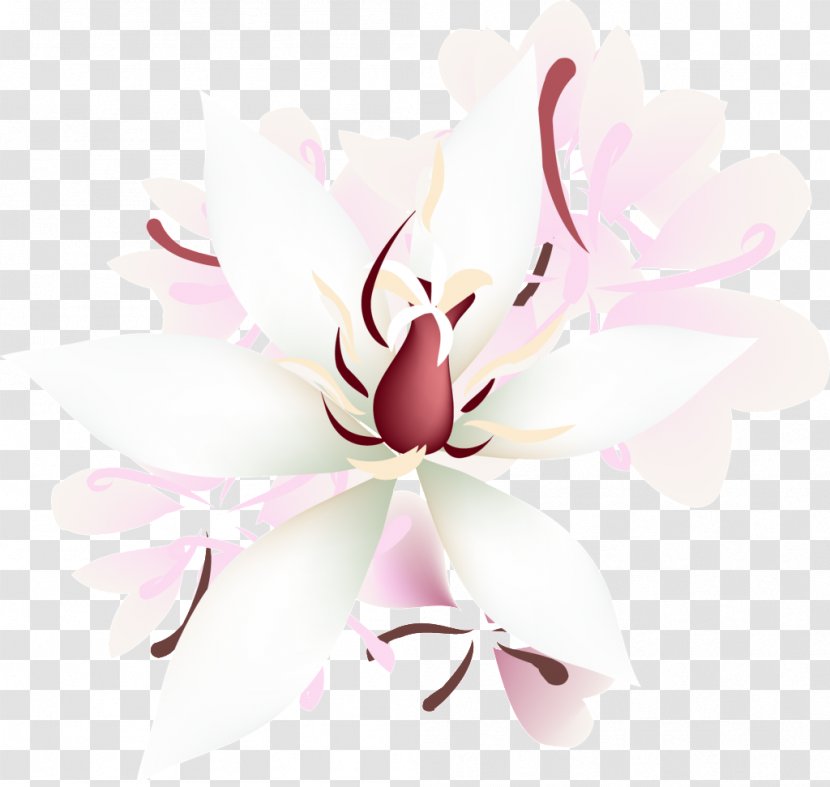 Clip Art Image Purple Vector Graphics - Flowering Plant - Violet Transparent PNG