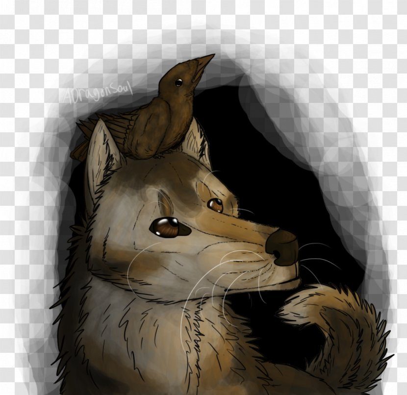 Canidae Dog Fauna Snout Fur - Mammal Transparent PNG