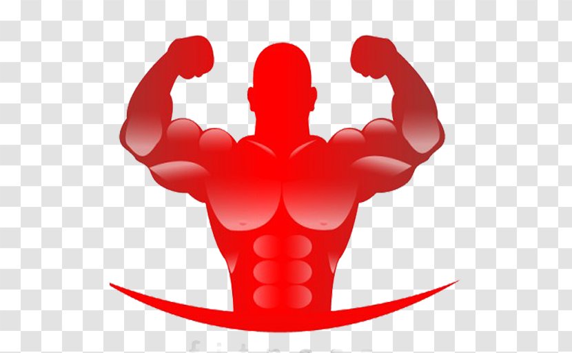 Vector Graphics Stock Illustration Photography - Bodybuilding - Fitness Nutrition Transparent PNG