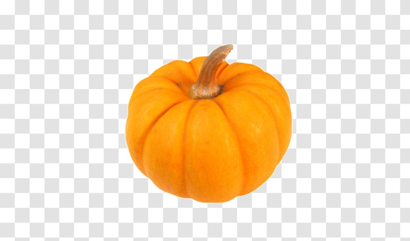 Pumpkin Calabaza Gourd Winter Squash - Fruit Transparent PNG