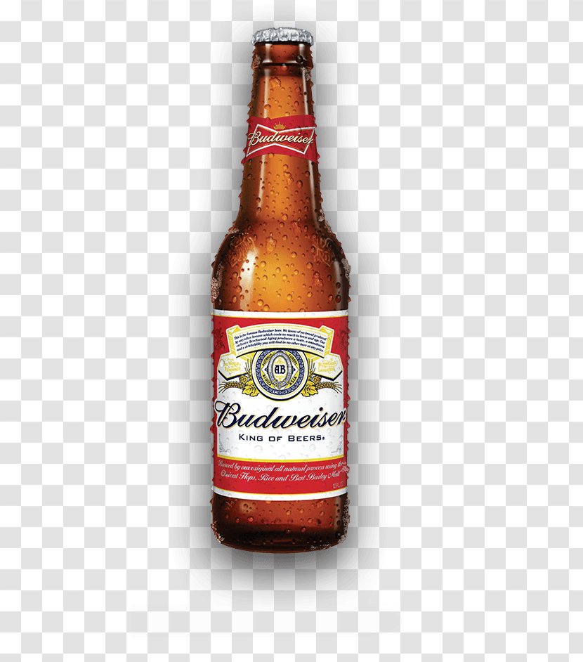 Budweiser Beer Anheuser-Busch Lager Bottle - Bud Lite Keg Transparent PNG