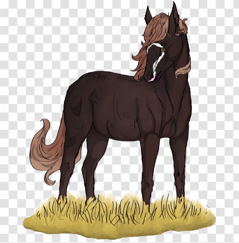 Mane Mustang Foal Mare Stallion - Liver Chestnut Horse Transparent PNG