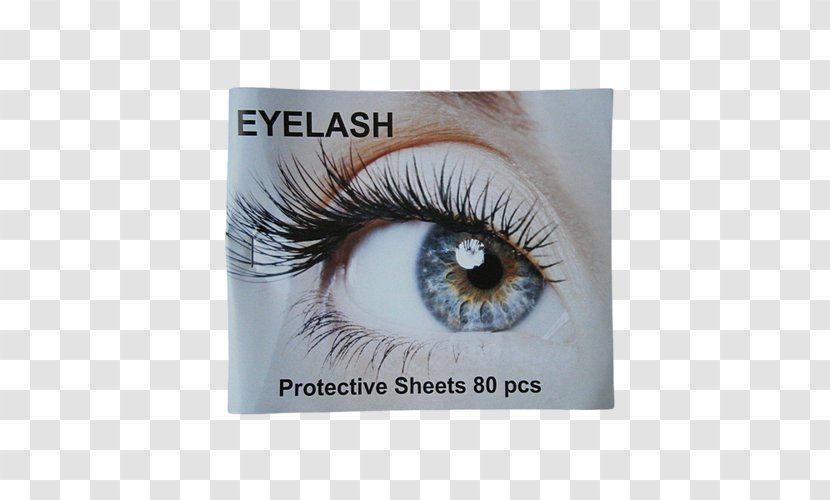 Eyelash Extensions Beauty Parlour HD Brows Eyebrow - Eye Transparent PNG