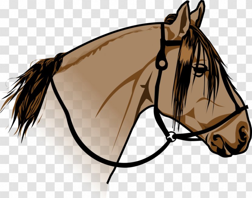 Crioulo Criollo Mustang Bridle - Horse Transparent PNG