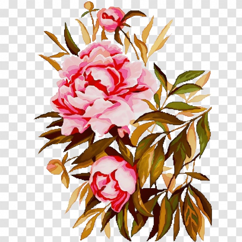 Garden Roses - Rose Transparent PNG