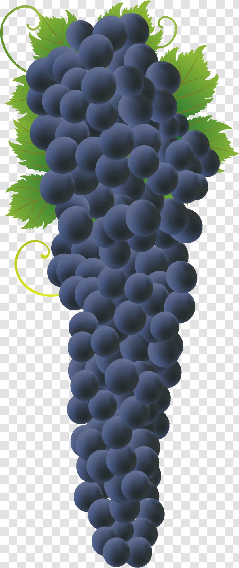 Common Grape Vine Concord Wine Juice - Bilberry - Delicious Transparent PNG