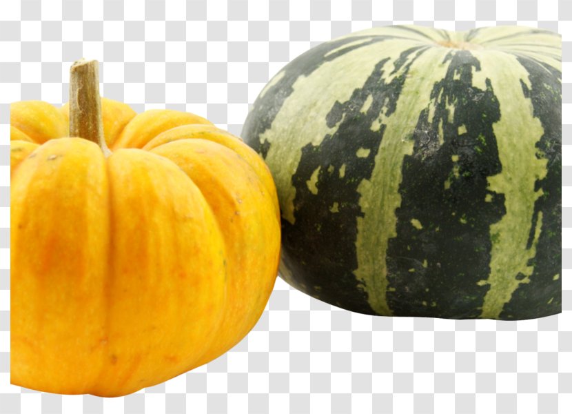 Pumpkin Pie Winter Squash Calabaza Field Transparent PNG