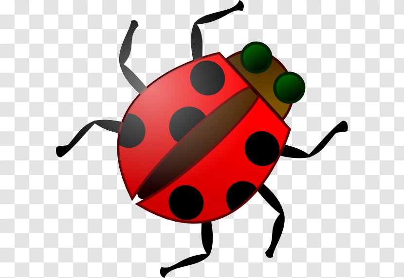 Insect Software Bug Free Content Clip Art - Animation - Beetle Cliparts Transparent PNG