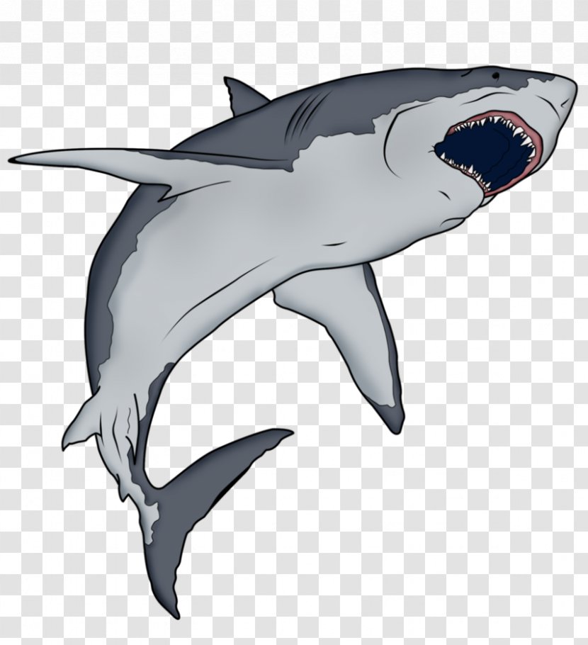 Requiem Shark Hungry Evolution Cartoon - Comics Transparent PNG