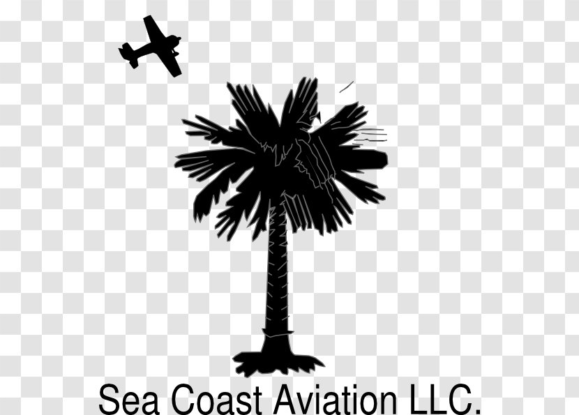 Flag Of South Carolina Sabal Palm Trees Crescent - North Sea Coast Transparent PNG