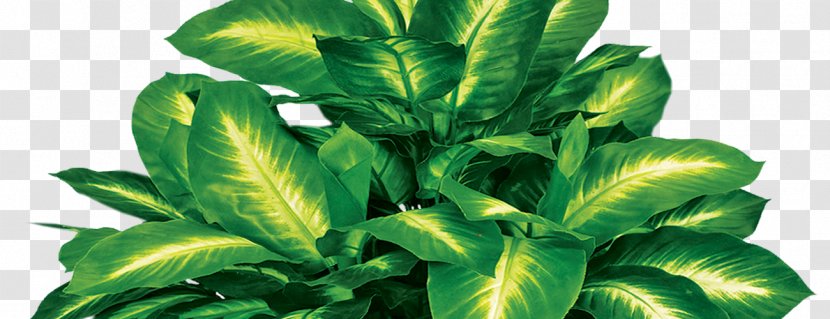 Silk Artificial Flower Plant Tree Areca Palm - Evergreen Transparent PNG
