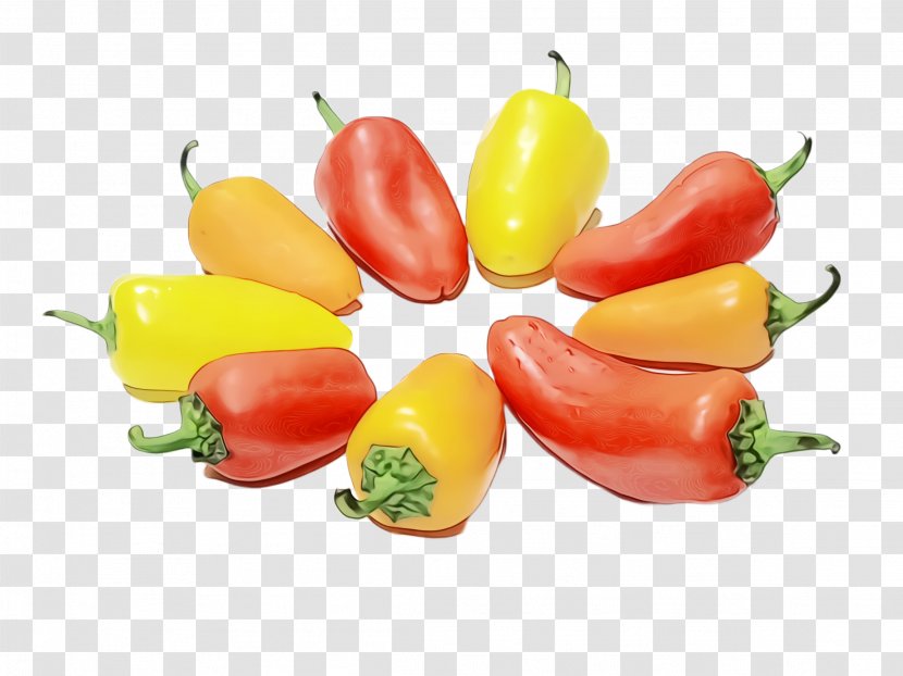 Chili Con Carne Bell Pepper Vegetarian Cuisine Food - Italian Sweet Transparent PNG