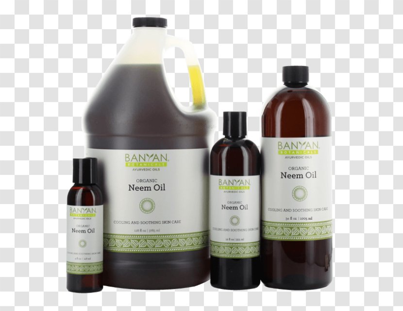 Neem Tree Oil Ayurveda Skin - Liquid Transparent PNG
