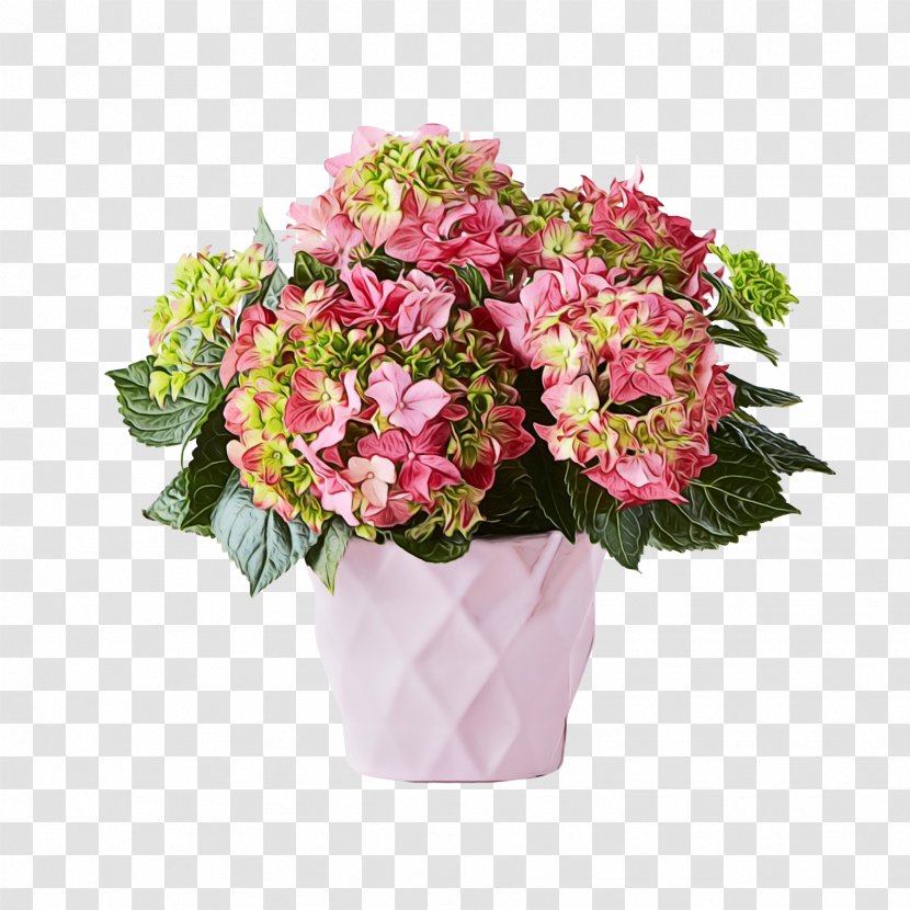 Flower Flowering Plant Bouquet Pink - Hydrangea - Hydrangeaceae Transparent PNG