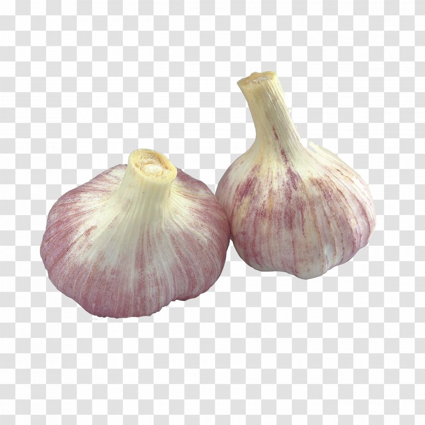 Garlic Vegetable Food Allicin Onion - Extract Transparent PNG