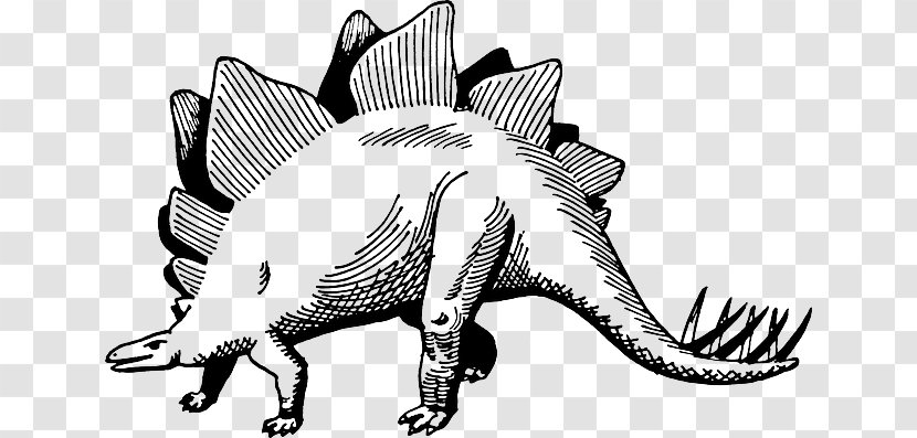 Stegosaurus Dinosaur Drawing Painting - Animals Transparent PNG