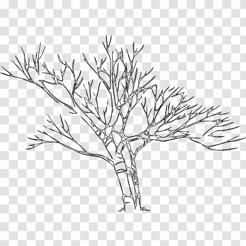 Twig Line Art Drawing Plant Stem - Leaf Transparent PNG