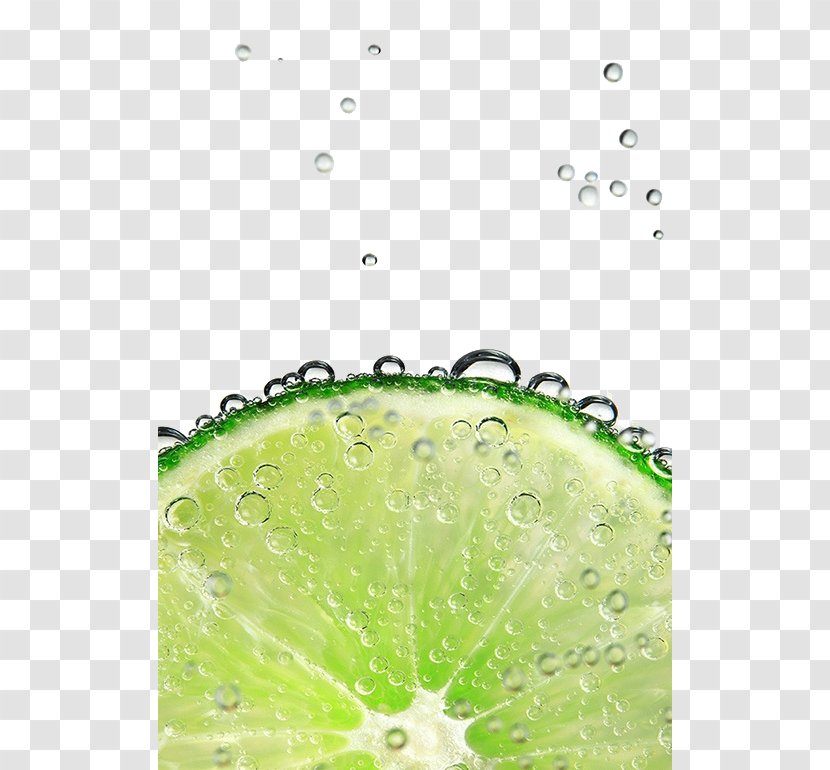 Lemon-lime Drink Lemonade Water Key Lime - Food Transparent PNG